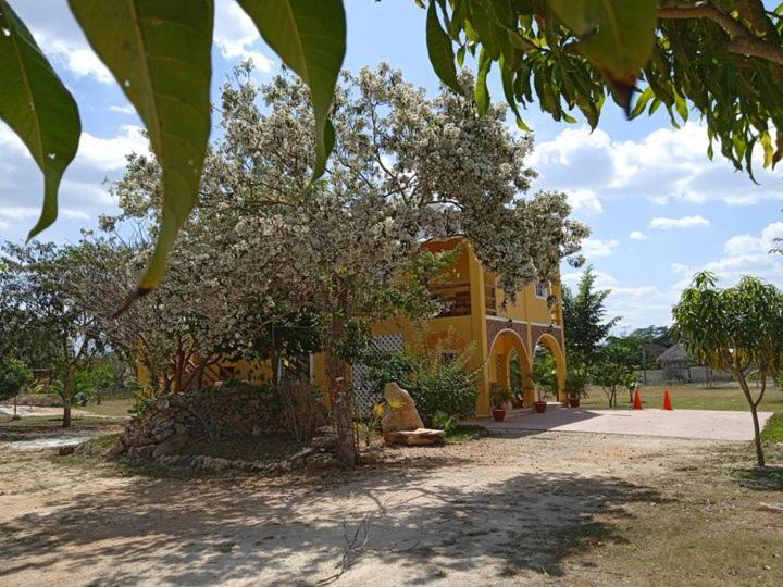 Ecohotel Shalom Valladolid  Exterior foto